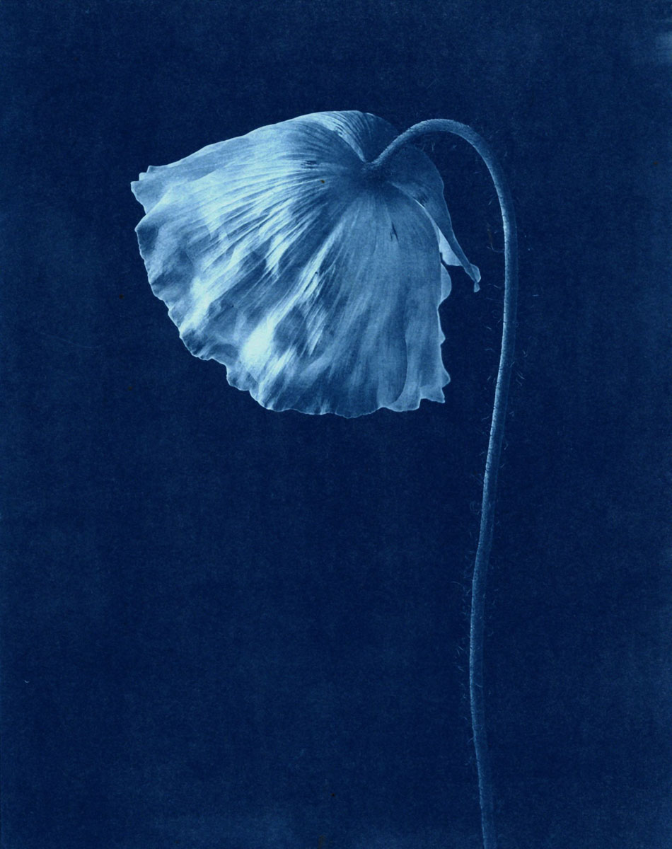 atp.art